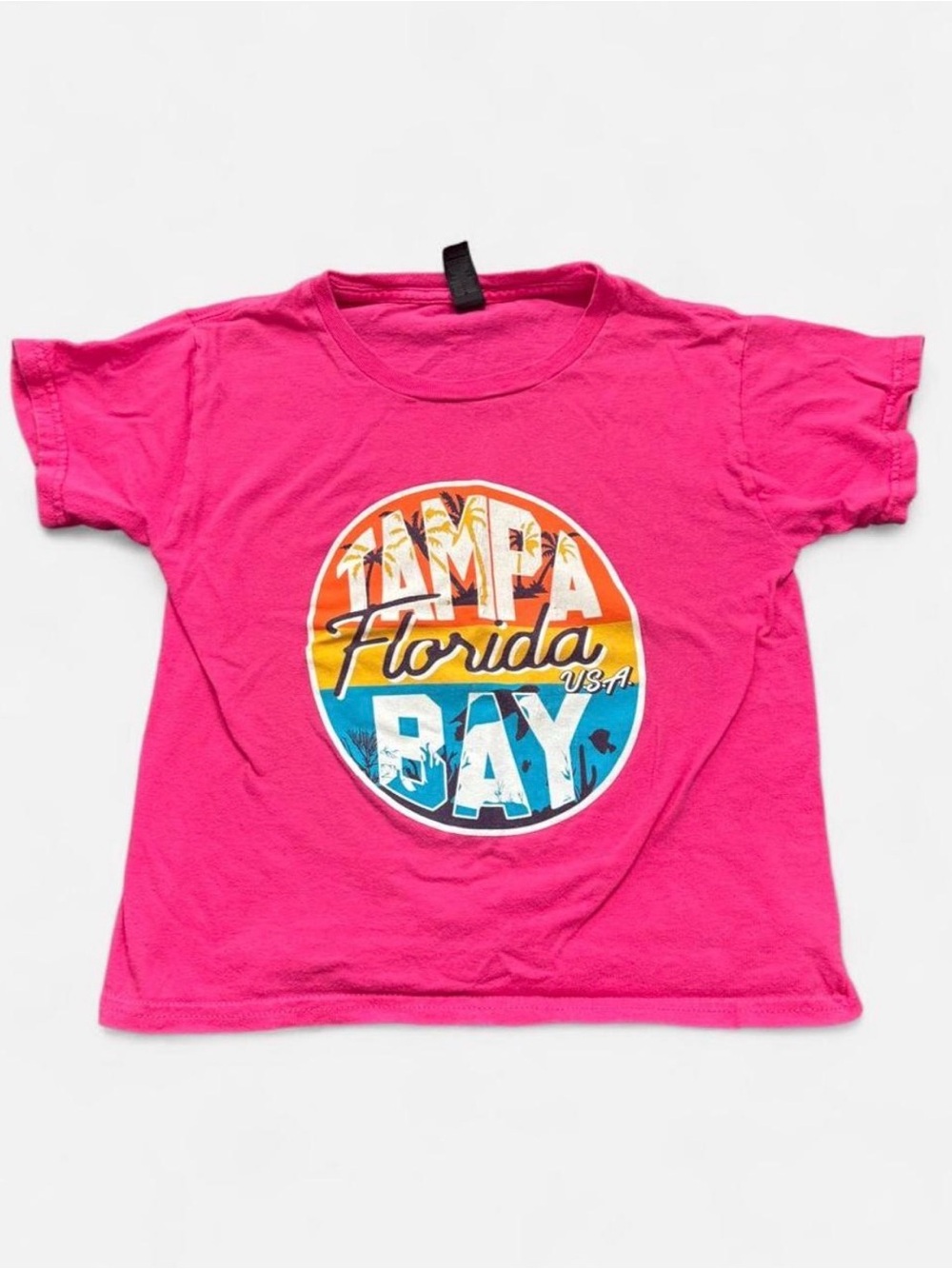 Gildan Pink Tampa Bay Florida Graphic Tee